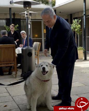 جان کری در تماشای دو سگ پاچه بگیر اسرائیلی +عکس