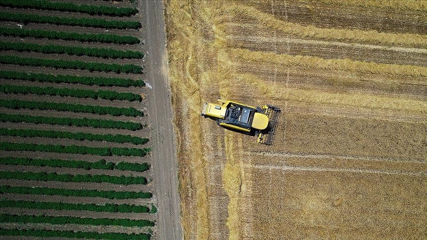 صادرات بخش کشاورزی ترکیه رکورد زد