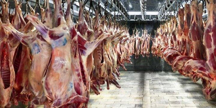 قیمت گوشت امروز ۱۰ دی ۱۴۰۰|قیمت گوشت افزایش یافت
