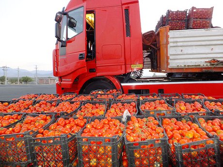 مجوز یک ماهه عراق به گوجه‌های ایرانی!