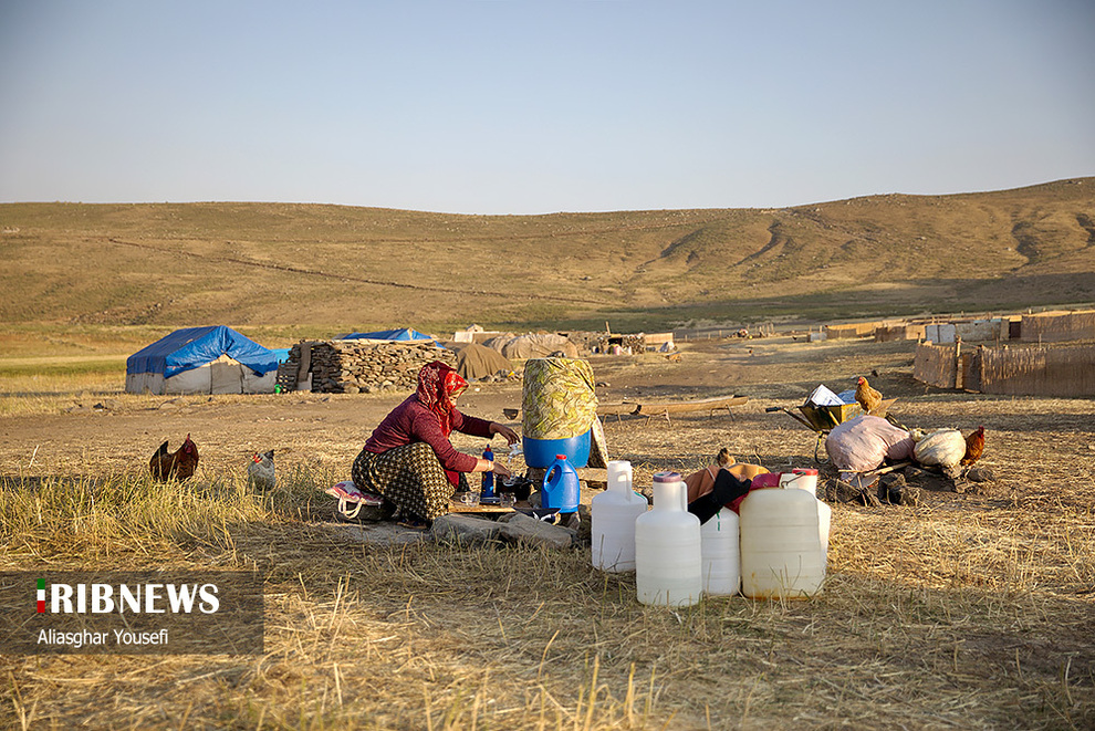 تصاویر | زندگی زیبای عشایر آذربایجان شرقی
