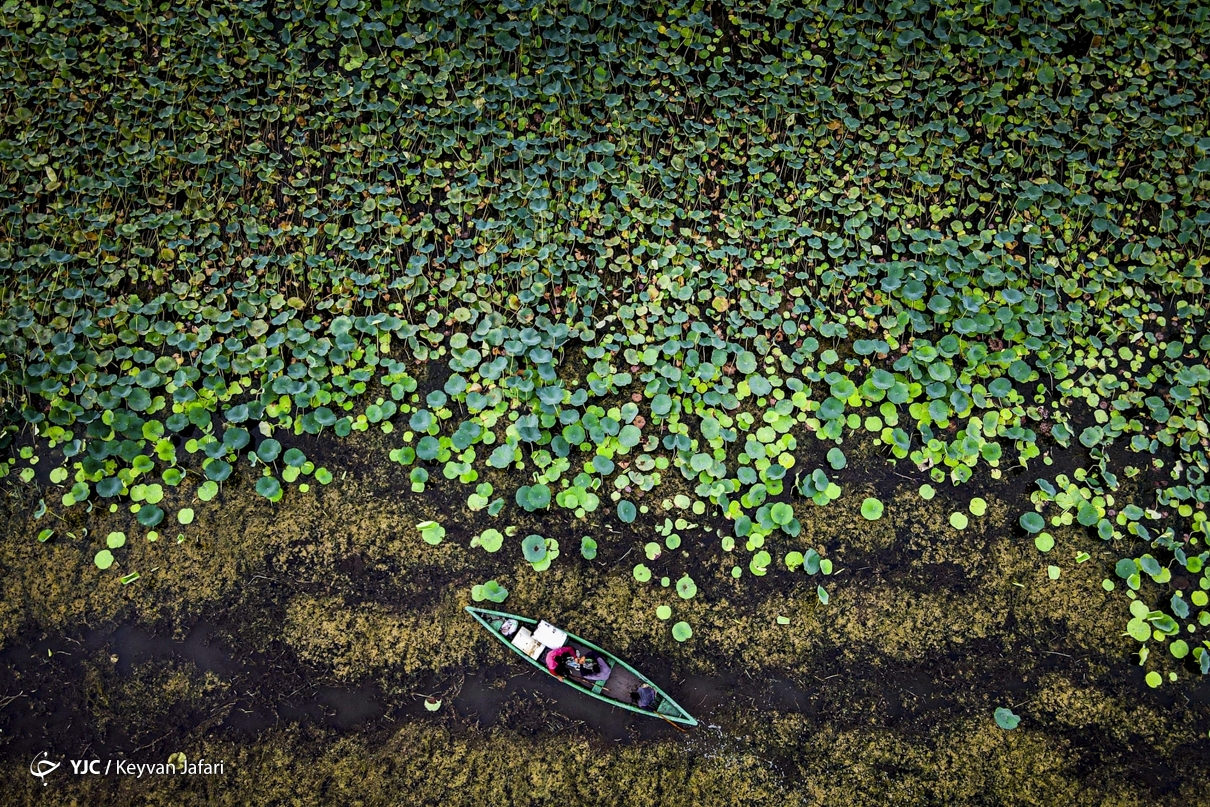 تصاویر | قرق شکنی ماهیگیری سنتی در آب‌بندان رودبست
