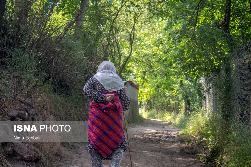 تصاویر | زنان «زرآباد»