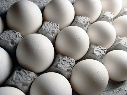 عدم شفافیت سیستم توزیع تخم مرغ