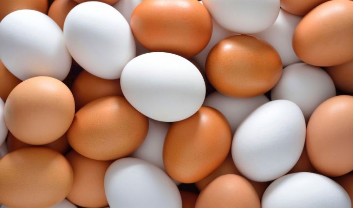 قیمت تخم مرغ امروز 5 آبان 1400| تخم مرغ بدون محدودیت توزیع می شود