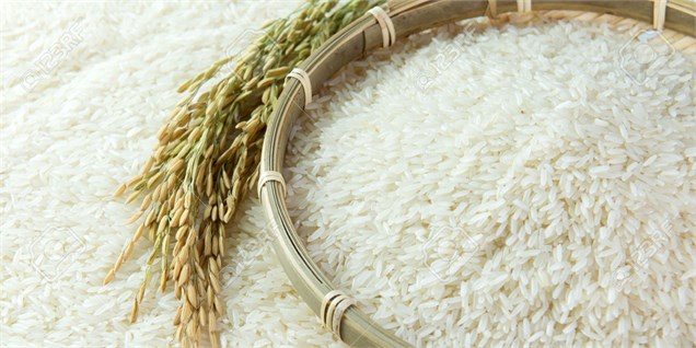صادرات برنج ایرانی به روسیه