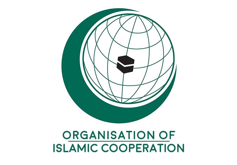 لایحه عضویت ایران در سازمان توسعه زنان عضو OIC به مجلس رفت