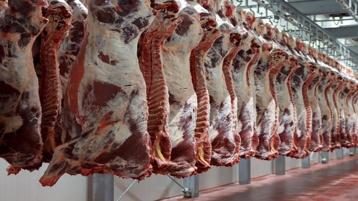 قیمت هر کیلو گوشت منجمد وارداتی ۲۲۰ تا ۲۴۷ هزار تومان است
