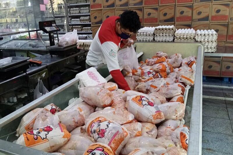 توزیع ۱۴ هزار و ۶۰۰ تن گوشت قرمز و مرغ منجمد در استان تهران