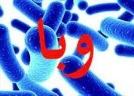کردستان/ افزایش بیماران مبتلا به وبا به ۳۹ مورد