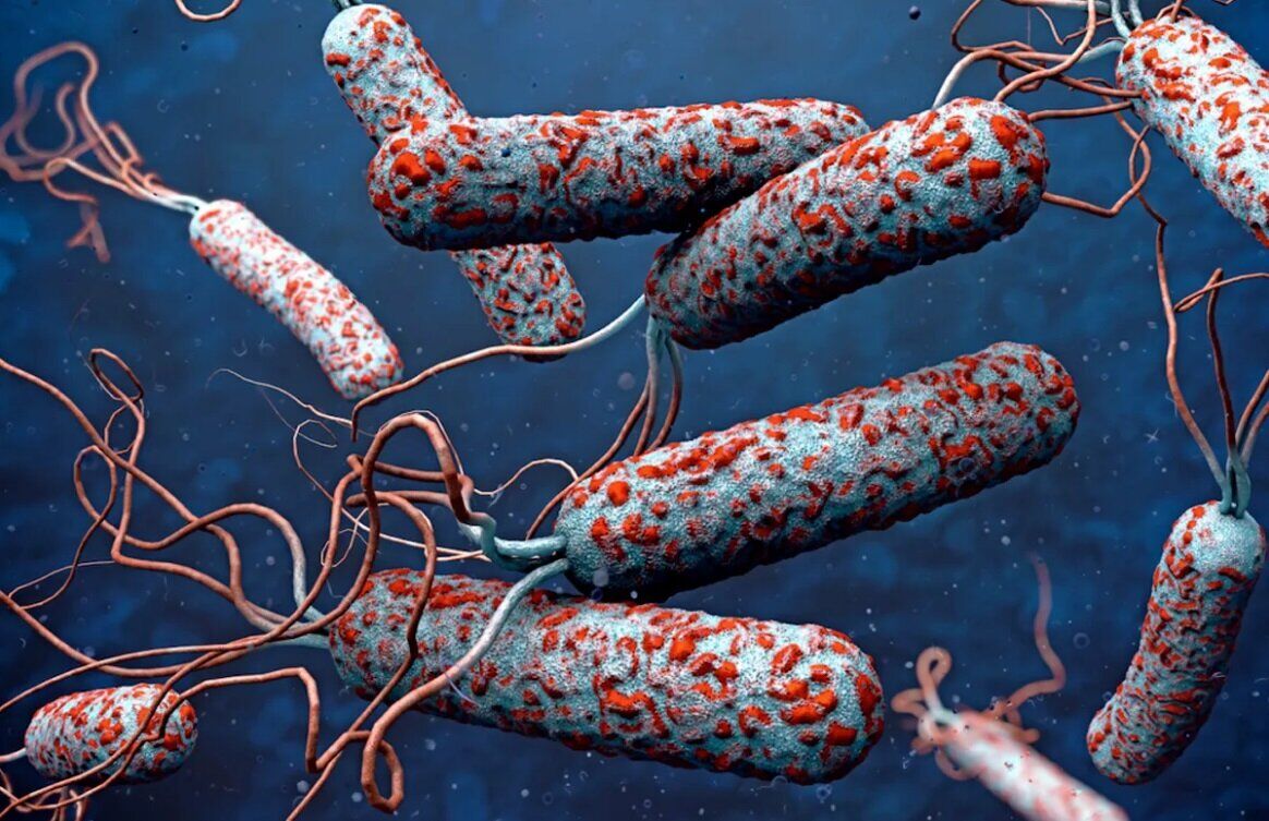 شناسایی ۲ مبتلا به وبا در کرمان
