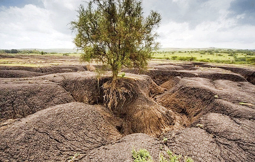 یک کارشناس حوزه آب و خاک: میزان فرسایش خاک در کشور، ۷ برابر حد مجاز