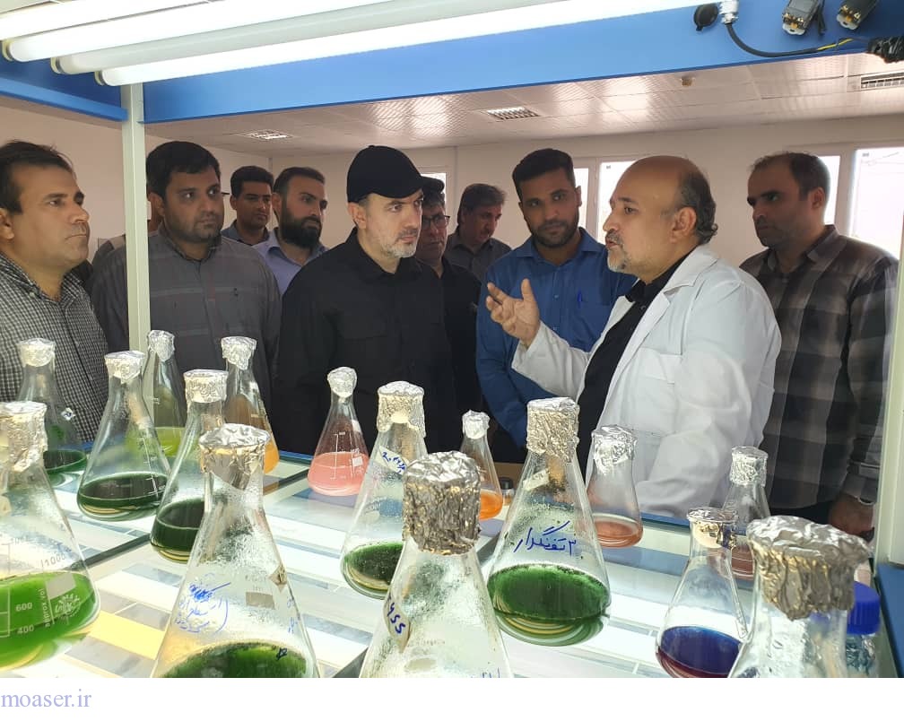 افتتاح بزرگترین شرکت تولیدکننده ریزجلبک کشور با حضور افشار فتح الهی در قشم