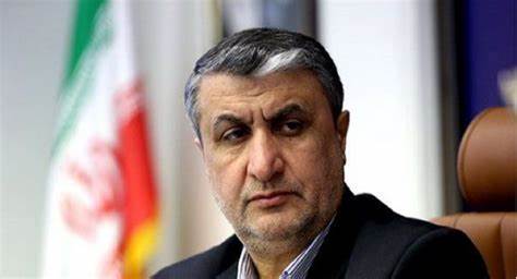 رئیس سازمان انرژی اتمی: سرمایه‌گذاری ۸.۷ میلیارد دلاری در نیروگاه جدید اتمی بوشهر