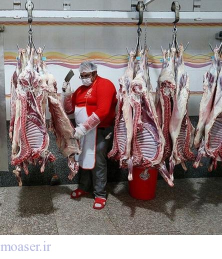 مرکز آمار: عرضه گوشت قرمز افزایش یافت