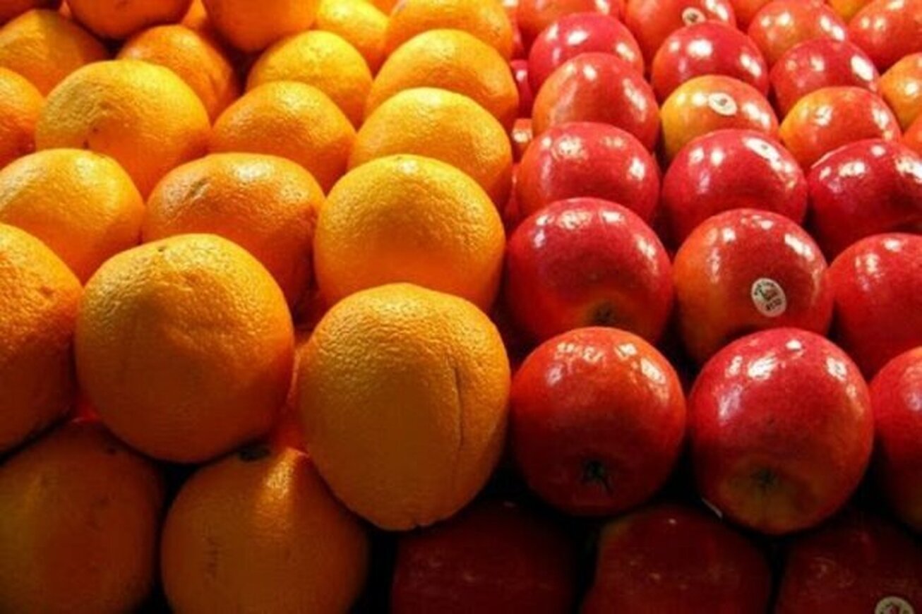 رفع ممنوعیت از صادرات سیب و پرتقال