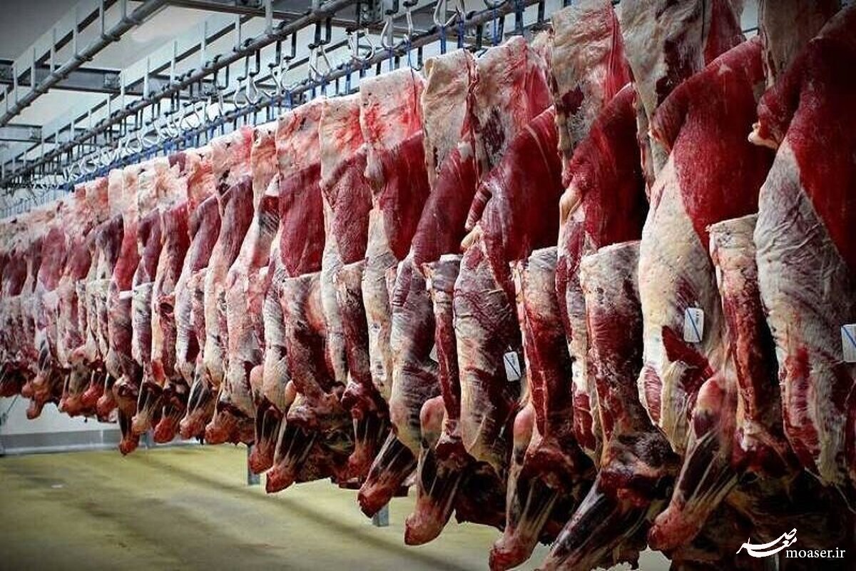 گوشت ۲۸۵ هزارتومانی وارد بازار می شود