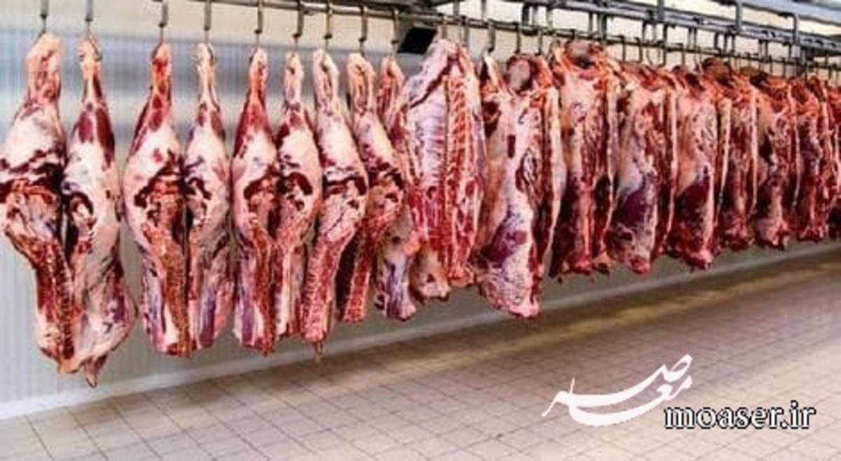 گوشت ۲۳۰ هزار تومانی وارد بازار شد؟