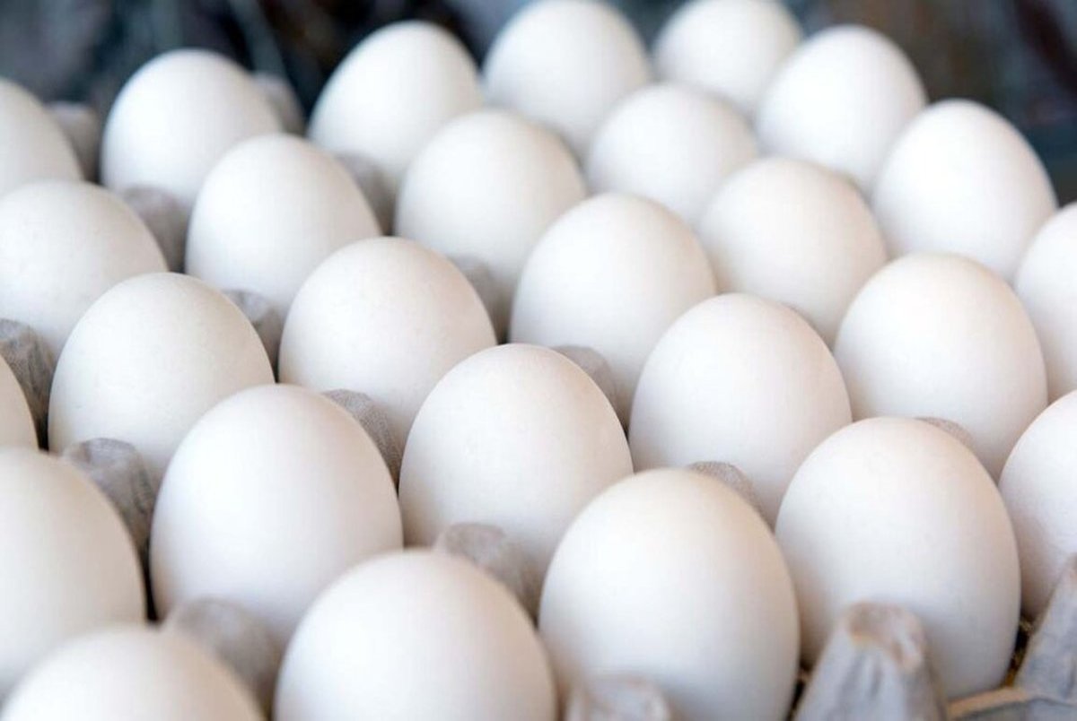 هر‌ شانه تخم مرغ ۹۴ هزار و ۵۰۰ تومان