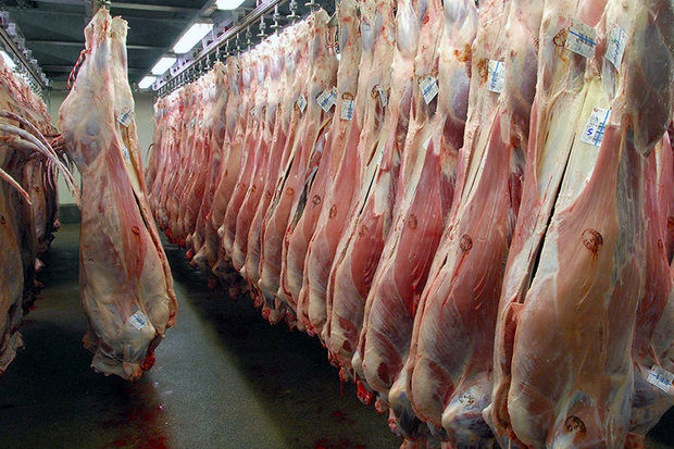 کاهش چشمگیر قیمت گوشت