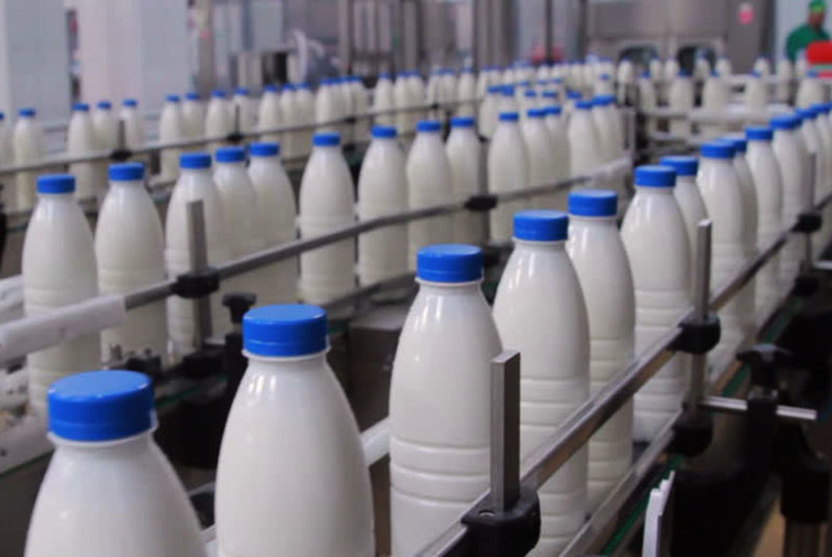 مصرف شیر در ایران پایین تر از سرانه مصرف جهانی