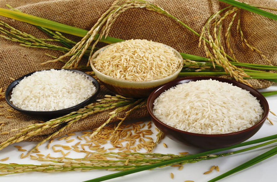 قیمت برنج ایرانی ۳۰ درصد کاهش یافت