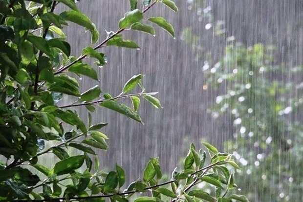 بارش باران در برخی مناطق کشور طی امروز و فردا
