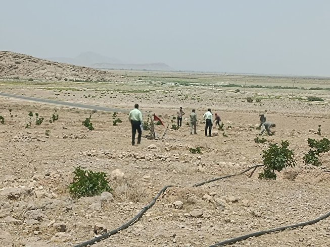 رفع تصرف ۱۳ هزار متر مربع زمین در اراضی ملی شهرستان خرامه