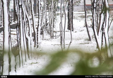 بارش نخستین برف پاییزی در مراغه، خلخال و اردبیل