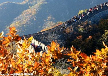 طبیعت پاییزی دیوار چین (chinadaily)