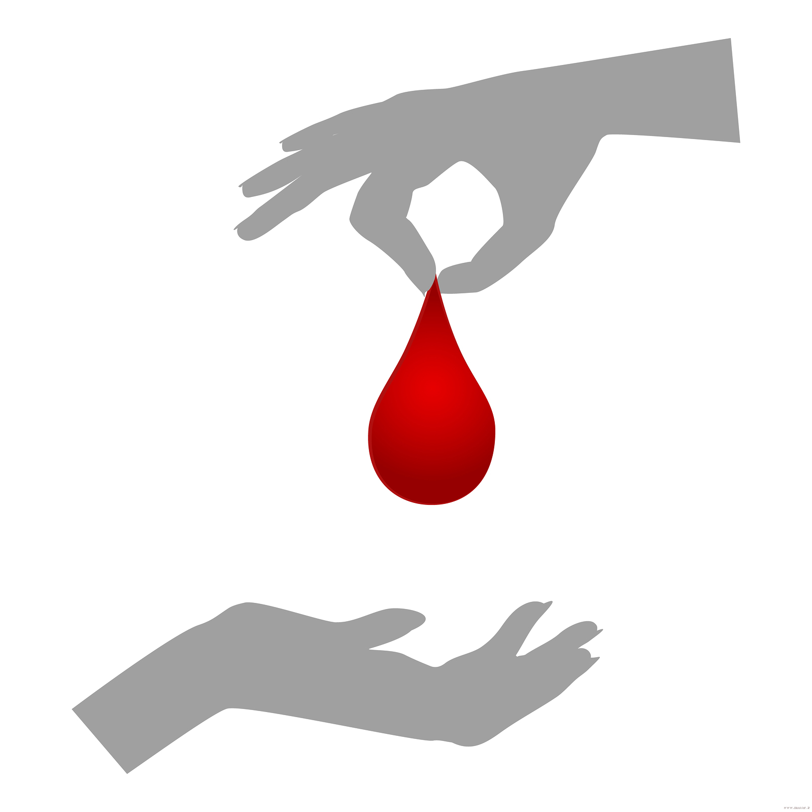 پاییز را با ثبت نام اینترنتی برای اهدا خون شروع کنید