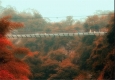پل معلق شیشه‌ای زیبا در تایوان در ارتفاع 50 متری + تصاویر