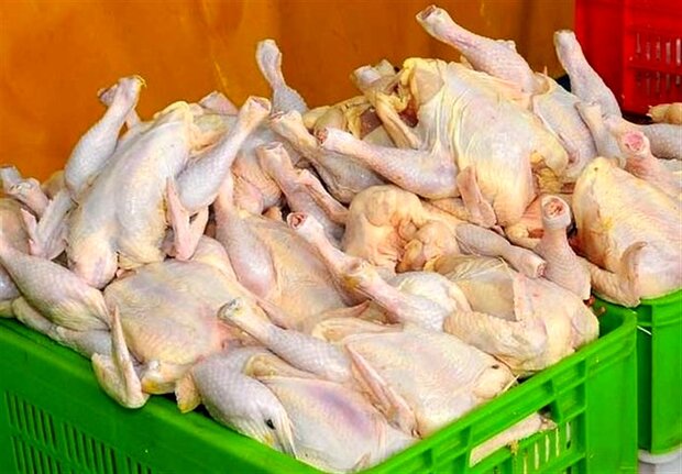 قیمت مرغ از هفته جاری به نرخ مصوب می رسد
