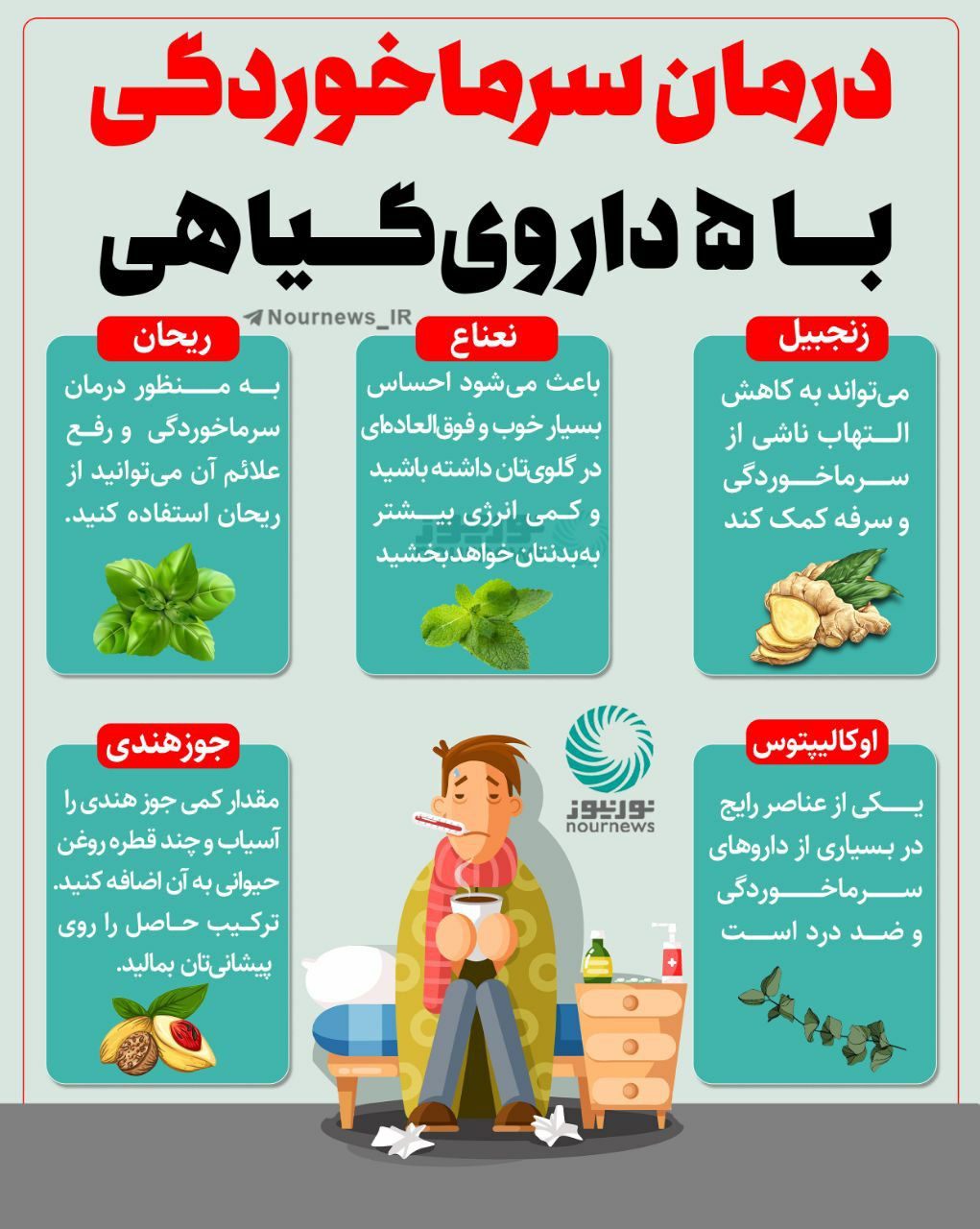 درمان سرماخوردگی با ۵ داروی گیاهی