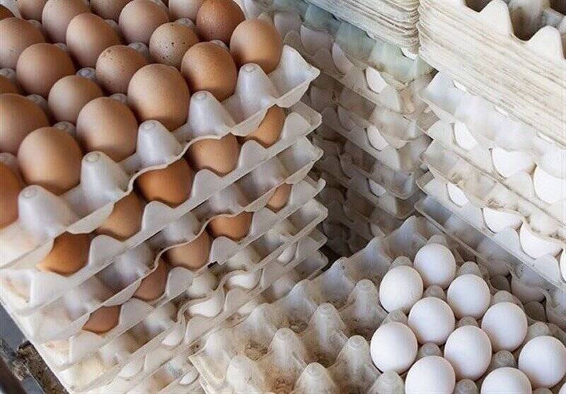 چرا تخم‌مرغ‌ها کوچک شده‌اند؟