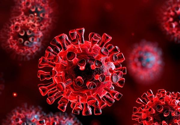 فوری: منشا ویروس کرونا کشف شد