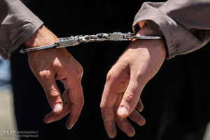 دستگیری باند سارقان اماکن خصوصی با ۱۴ فقره سرقت