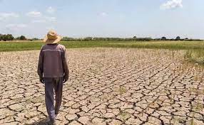 خبر مهم برای خسارت دیدگان از خشکسالی