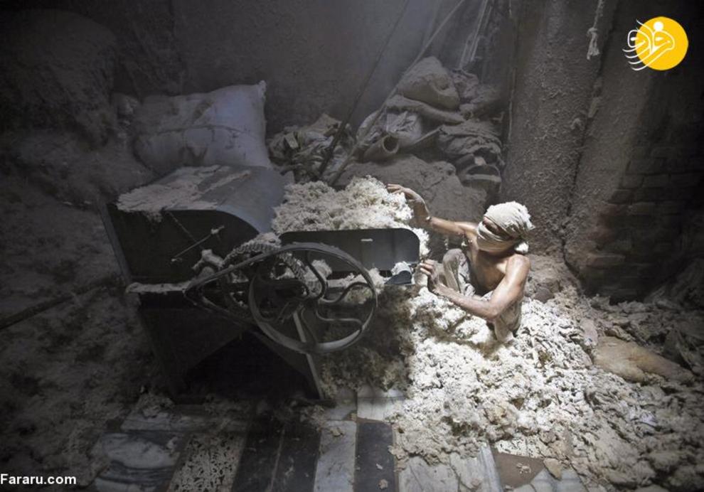عکس‌های برگزیده عکاسی که طالبان کُشت
