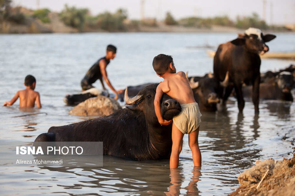 تصاویر | رهاسازی آب سد کرخه، از سوسنگرد تا هورالعظیم