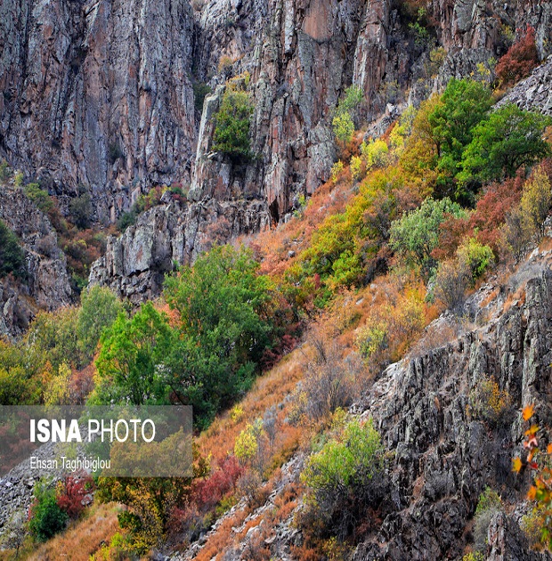 تصاویر | پاییز هزار رنگ در هندوستان ایران