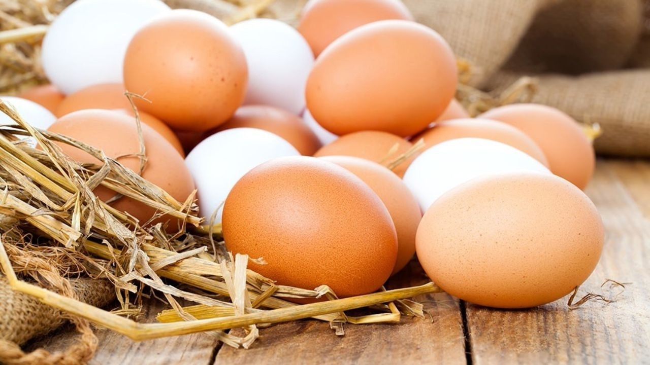 مظنه قیمت انواع تخم مرغ در بازار +جدول