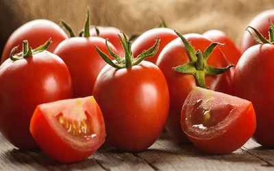 قیمت گوجه‌فرنگی افزایش یافت