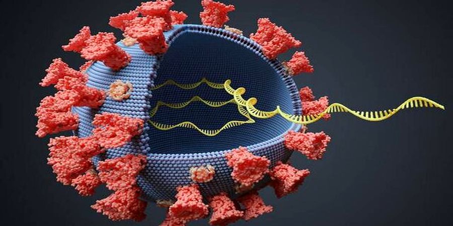 کشف راز جدید راجع به کرونا| خبری بد درباره ویروس کرونا