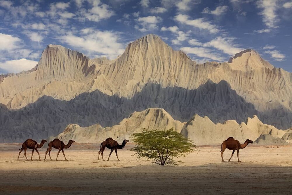 تصویری دیدنی از طبیعت بِکرِ سیستان و بلوچستان