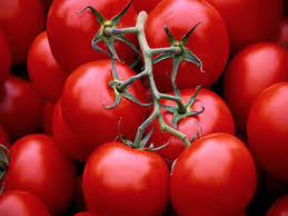 افزایش قیمت گوجه در بازار