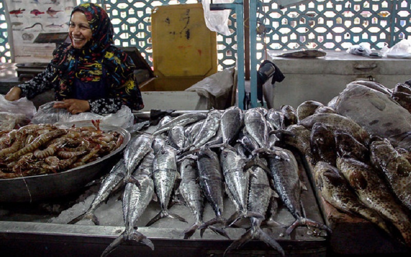 ممنوعیت صادرات ماهی تازه| قاچاق ماهی به دوبی صحت دارد؟