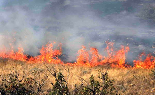 پارک ملی گلستان در آتش سوخت