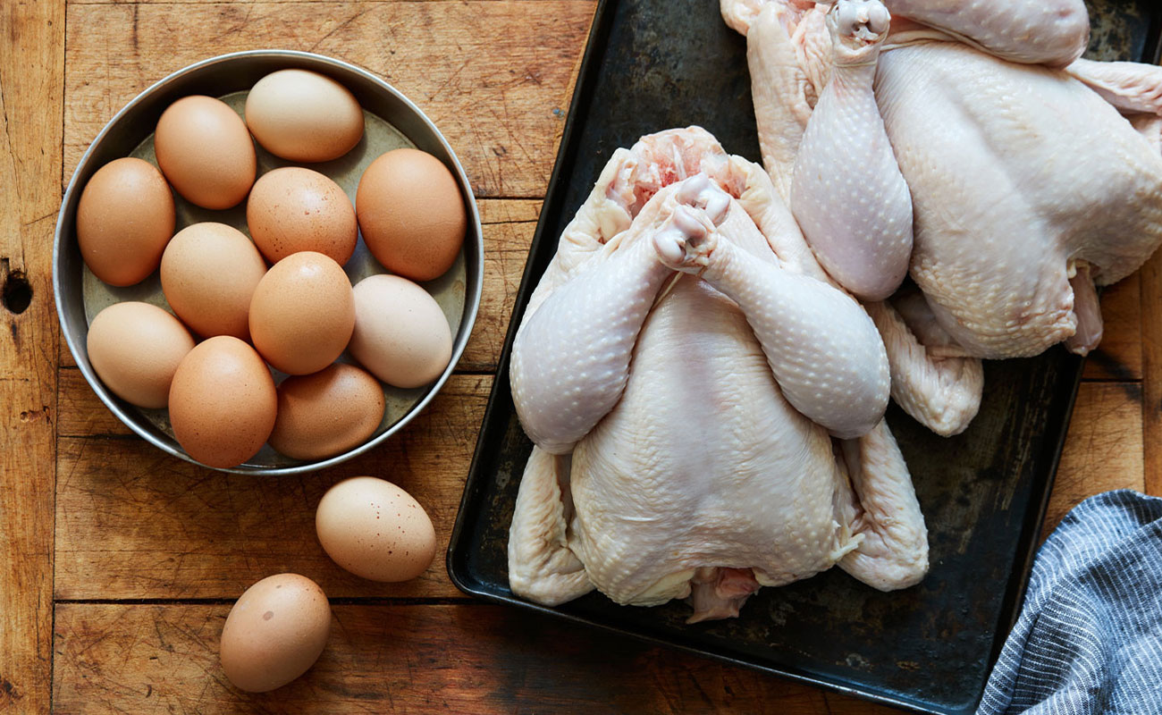 کاهش قیمت مرغ و تخم مرغ