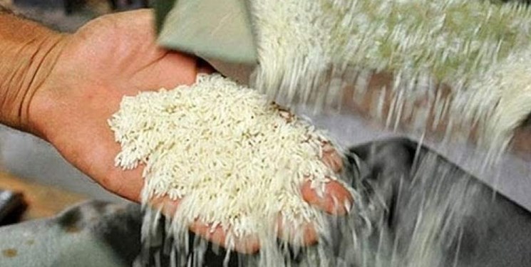 واردات برنج کلاً ممنوع شد